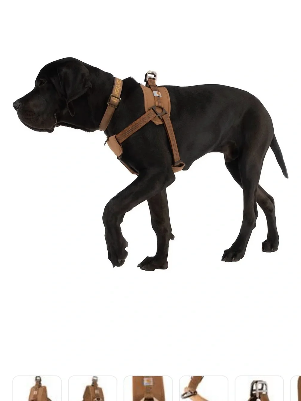 Carhartt Dog Harness, Brown, Medium